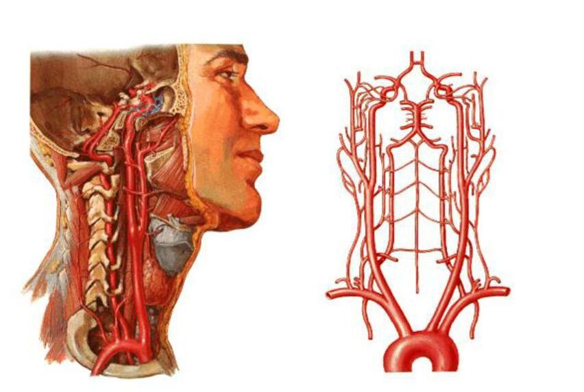 Πώς εμφανίζεται η οστεοχονδρωσία;