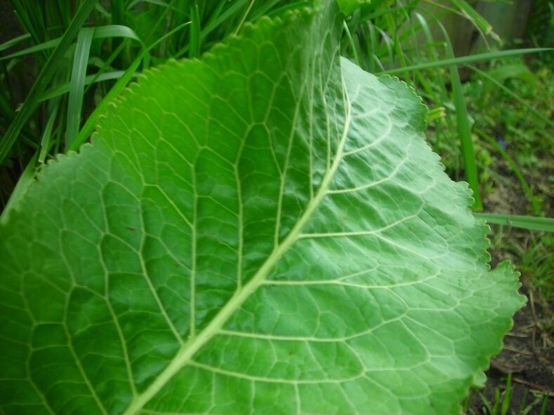 χρένο για την αυχενική οστεοχονδρωσία